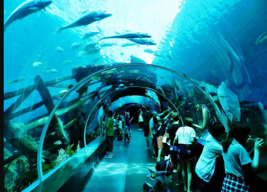 Marine Life Park, Singapore, Singapore
